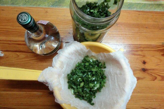 tinctură de colanchoe și vodcă
